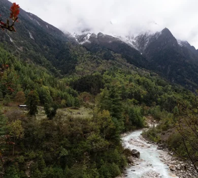 Manaslu Circuit Trek with Serang Gompa visit