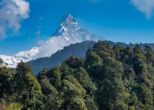 Mardi Himal View