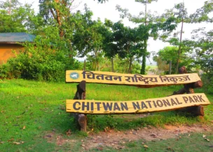 Chitwan - Kathmandu Pokhara Chitwan Tour