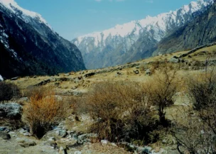 Langtang Valley Trek