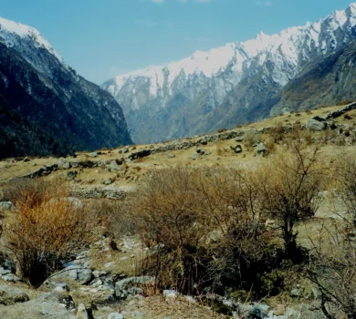 Langtang Valley Trek